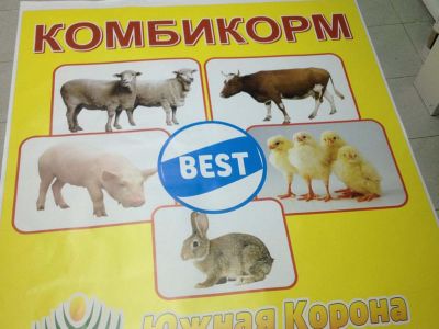 Южная Корона